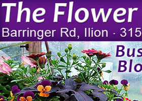 The Flower Barn Ad Thumbnail
